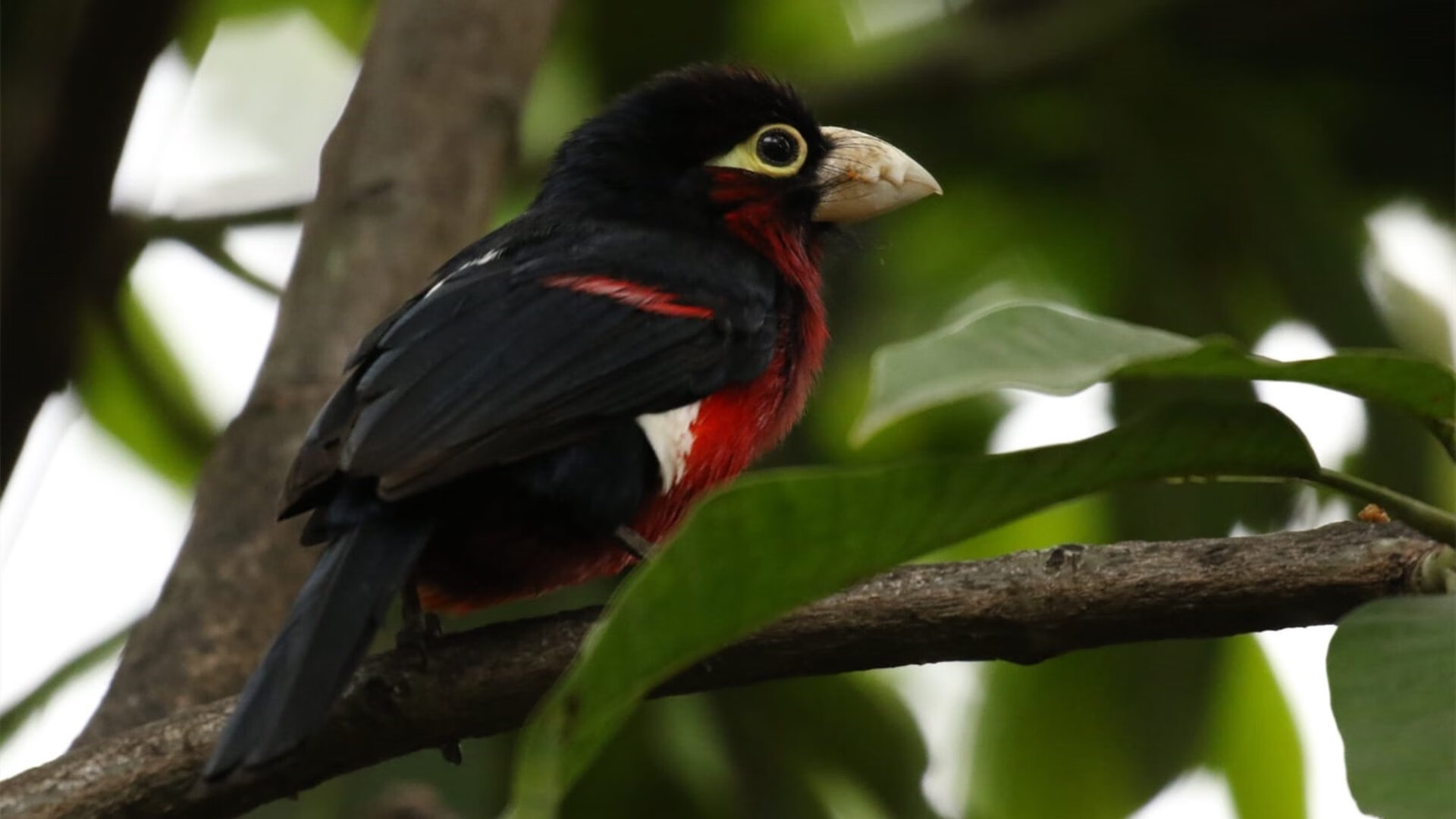 中国足球青训营地建设全面提速,打造未来“足球之都”,中国足球青训俱乐部排名