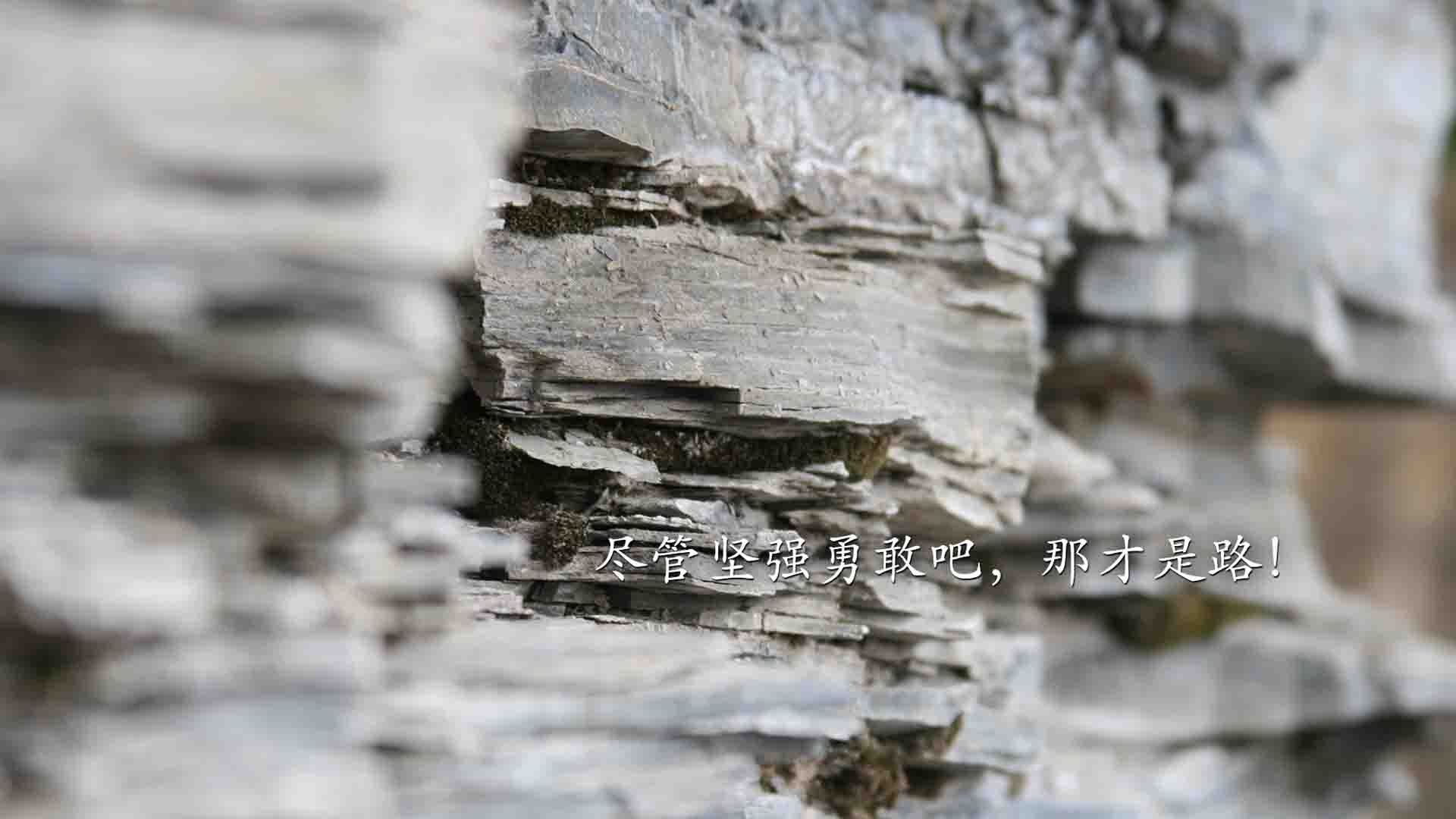 全国极限飞盘精英赛,团队默契的极限考验,极限飞盘比赛规则视频