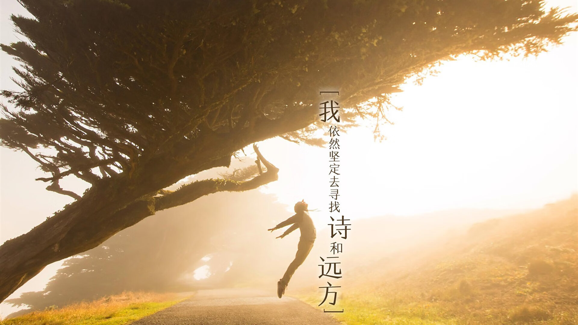 开云官网APP下载-安东尼奥·皮佐拉托在男子举重比赛中获得铜牌，安东尼诺·皮佐拉托